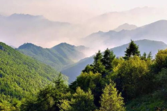 雾灵山森林公园,天然氧吧与生态秘境之旅